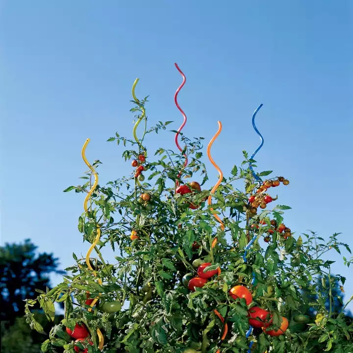 Espiral de cultivo de tomate/Alambre de soporte de plantas/Alambre espiral de tomate