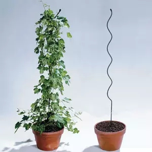 Espiral de cultivo de tomate/Alambre de soporte de plantas/Alambre espiral de tomate