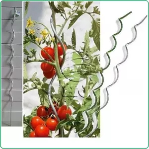 Soporte de tomate