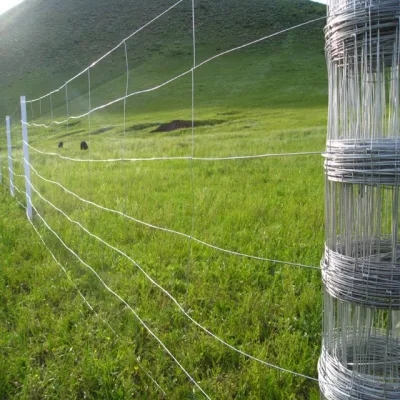 Cercado de campo galvanizado Ganado Cabra Oveja Vaca Ciervo Alambre Cerca de campo de pastizal